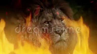 大狮子在火焰中转身看着镜头